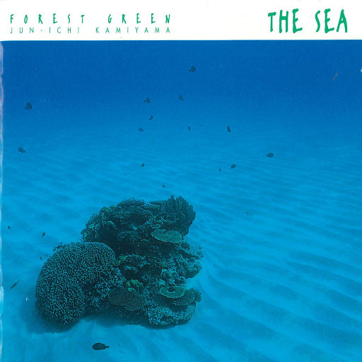 免费🔞美女❌❌❌涂抹软件下载
