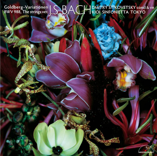 免费🔞美女❌❌❌涂抹软件下载
